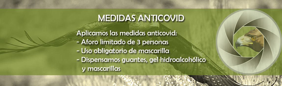 banner anticovid